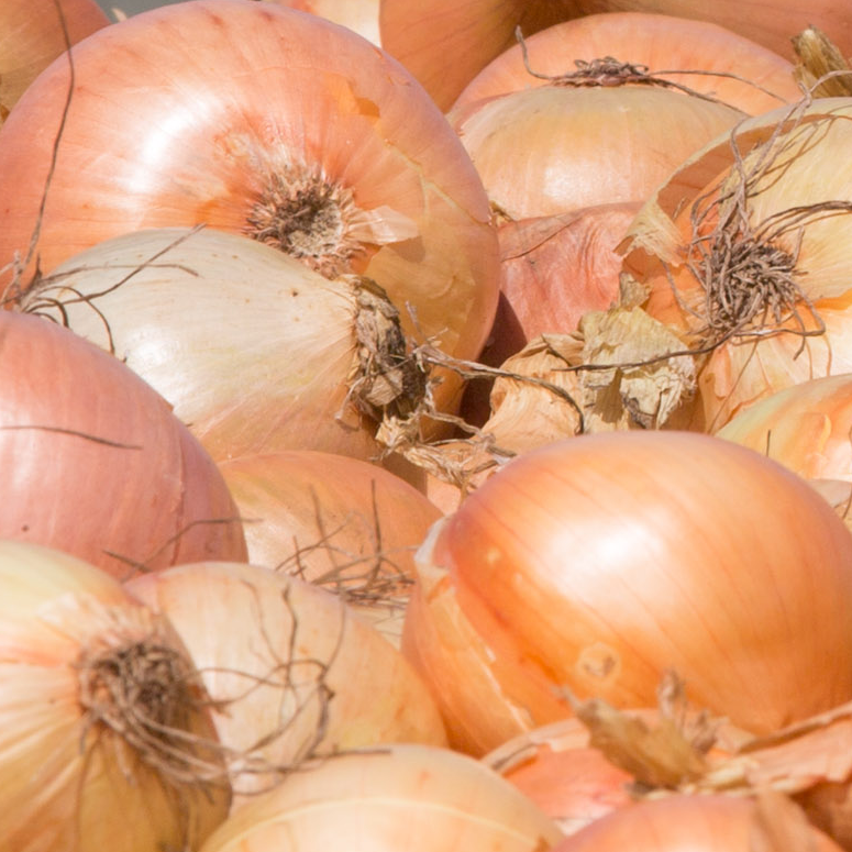 Online Onion Market Online Onion Market